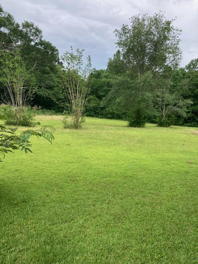 20 x 20 Unpaved Lot in Raleigh, Mississippi