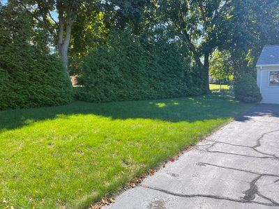 40 x 25 Lot in Milford, Connecticut