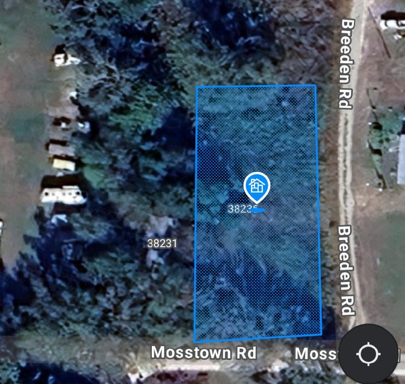Unpaved Lot in Lacoochee, Florida 2