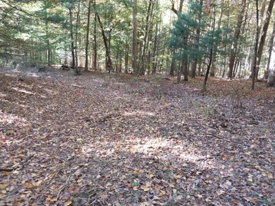 20×10 Unpaved Lot in Biglerville, PA near 779 Bottom Rd