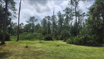 20×10 Unpaved Lot in Naples, FL near 1911 Seward Ave