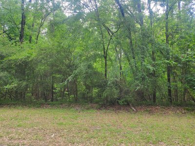 30×10 Unpaved Lot in Livingston, TX near Rocky Creek Rd 3