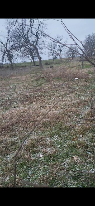 20×10 Unpaved Lot in Farmersville, TX