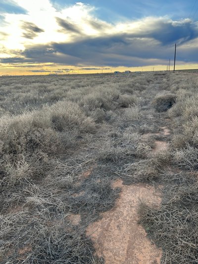 60×12 Unpaved Lot in Shallowater, TX near FM-179 3