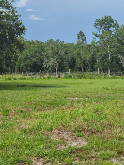 40 x 10 Unpaved Lot in Clermont, Florida