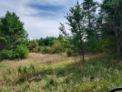 30×10 Unpaved Lot in Wisconsin Dells, WI near 955 State Road 82 3