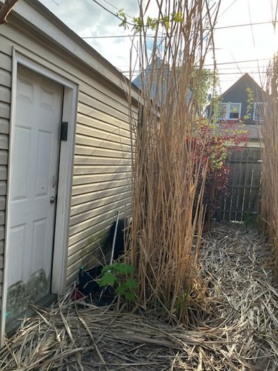 20×10 Garage in Chicago, IL near 3306 W Cuyler Ave 2
