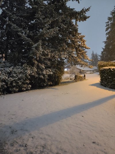 20×10 Unpaved Lot in Seattle, WA near 17311 32nd Ave S 2