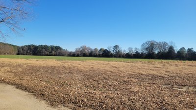 30×12 Unpaved Lot in West Point, VA near 611 Churchville Rd