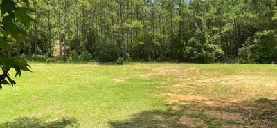 50 x 10 Unpaved Lot in Duncanville, Alabama