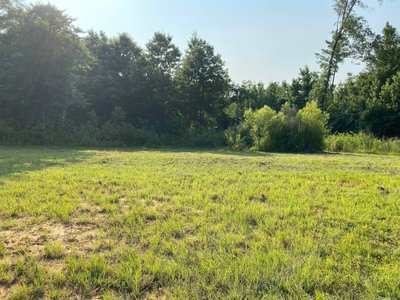 undefined x undefined Unpaved Lot in Cottondale, Alabama