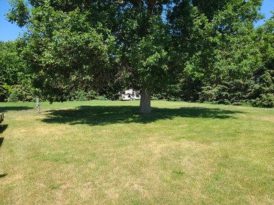 35 x 10 Unpaved Lot in Luverne, Minnesota