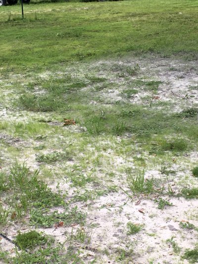 10 x 20 Unpaved Lot in Lakeland, Florida