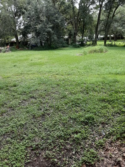 20 x 10 Unpaved Lot in Seffner, Florida near [object Object]
