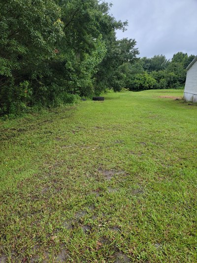 50 x 20 Lot in Dover, Florida
