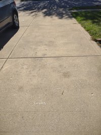 9 x 13 Driveway in Indianapolis, Indiana