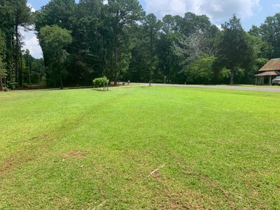50 x 12 Unpaved Lot in Wake Forest, North Carolina