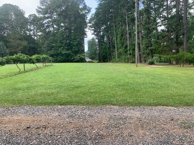 40 x 15 Unpaved Lot in Wake Forest, North Carolina