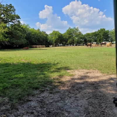 70 x 10 Unpaved Lot in Quinlan, Texas