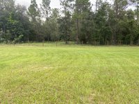 100 x 75 Unpaved Lot in Newberry, Florida