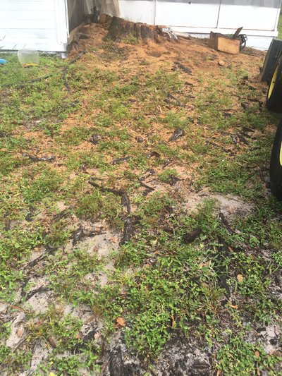 10 x 15 Unpaved Lot in Lakeland, Florida near [object Object]