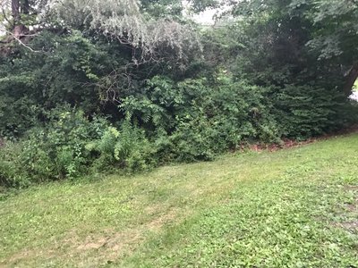 undefined x undefined Unpaved Lot in Carmel Hamlet, New York