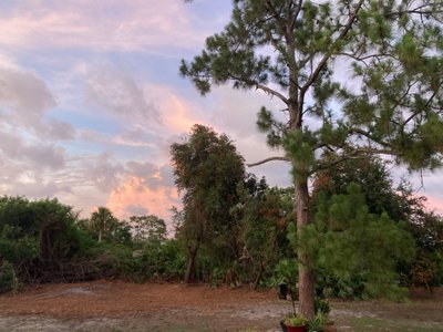 38 x 15 Unpaved Lot in Naples, Florida