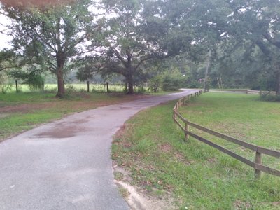 undefined x undefined Unpaved Lot in Milton, Florida
