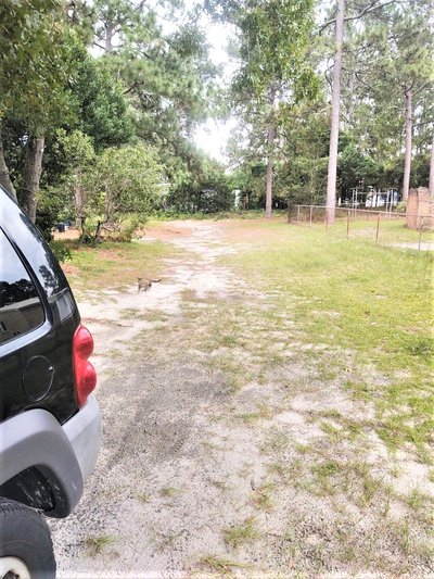 undefined x undefined Driveway in West Columbia, South Carolina