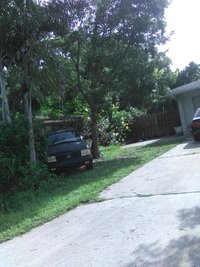 20 x 11 Unpaved Lot in Cape Coral, Florida