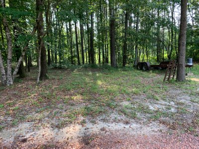 12×30 Unpaved Lot in Mount Olive, Alabama