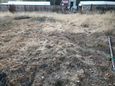 40 x 20 Unpaved Lot in Dexter, Oregon near [object Object]
