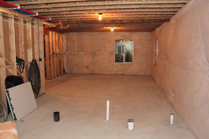 Basement in Vineyard, Utah 1