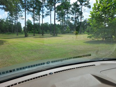 undefined x undefined Unpaved Lot in Esto, Florida