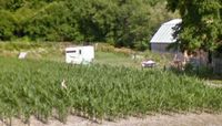10 x 20 Unpaved Lot in Melrose, New York