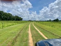 20 x 20 Unpaved Lot in Slocomb, Alabama