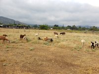 40 x 12 Unpaved Lot in Cherry Valley, California