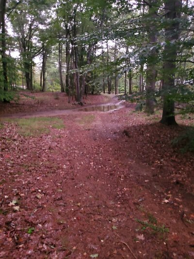 undefined x undefined Unpaved Lot in Northwood, New Hampshire