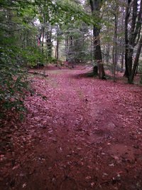 20 x 10 Unpaved Lot in Northwood, New Hampshire