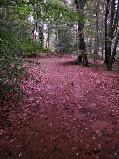 30 x 10 Unpaved Lot in Northwood, New Hampshire