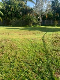 15 x 15 Unpaved Lot in West Palm Beach, Florida
