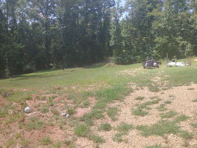 10 x 40 Unpaved Lot in Mantachie, Mississippi