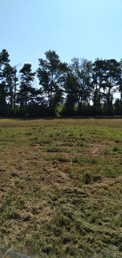 40 x 10 Unpaved Lot in Autryville, North Carolina near [object Object]