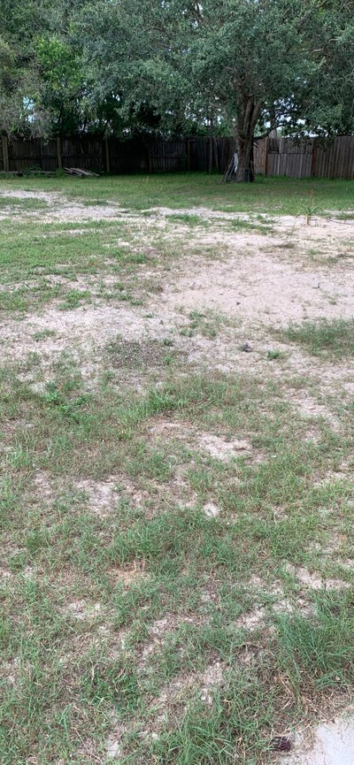 40 x 75 Unpaved Lot in Spring Hill, Florida near [object Object]