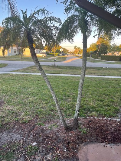 20 x 10 Driveway in Royal Palm Beach, Florida near [object Object]
