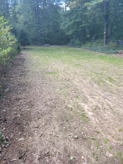 65 x 25 Unpaved Lot in West Milford, New Jersey