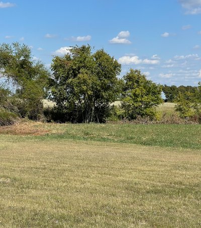20 x 10 Unpaved Lot in Whitewright, Texas near [object Object]