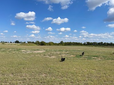 20 x 10 Unpaved Lot in Whitewright, Texas near [object Object]