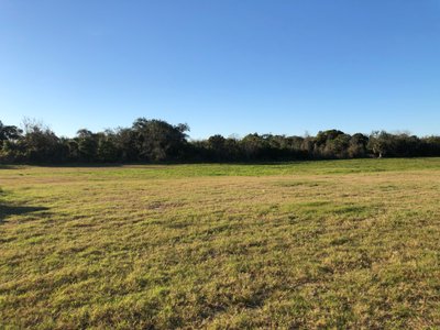 50 x 10 Unpaved Lot in Lake Wales, Florida
