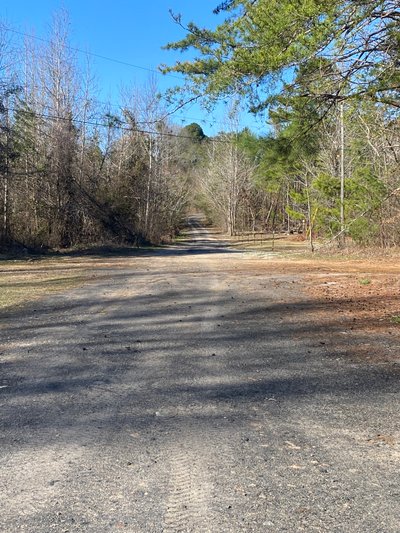 undefined x undefined Unpaved Lot in Brookwood, Alabama